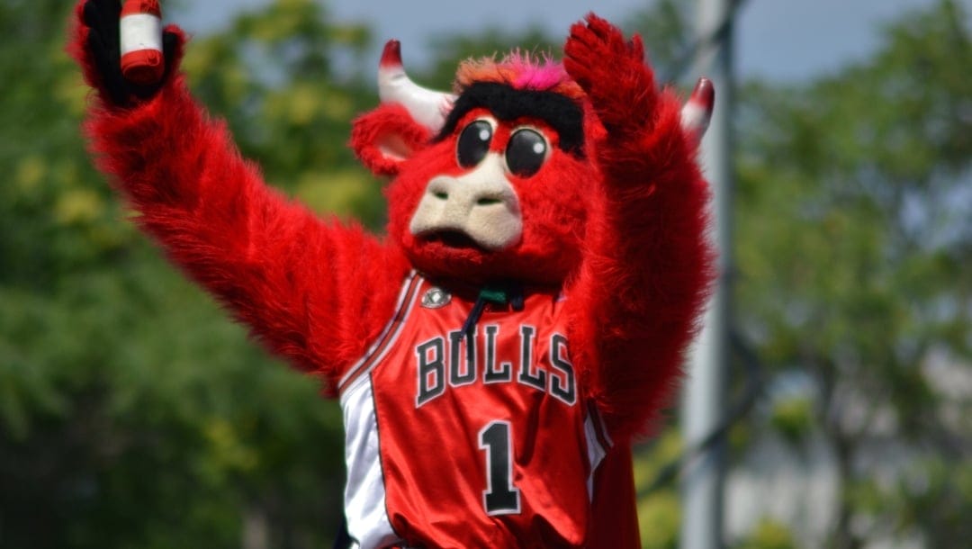 Bulls mascot Benny