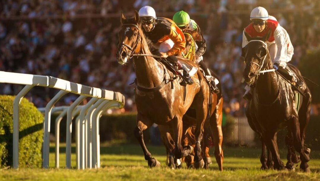 Two jocks during a horse race head toward the finish line.