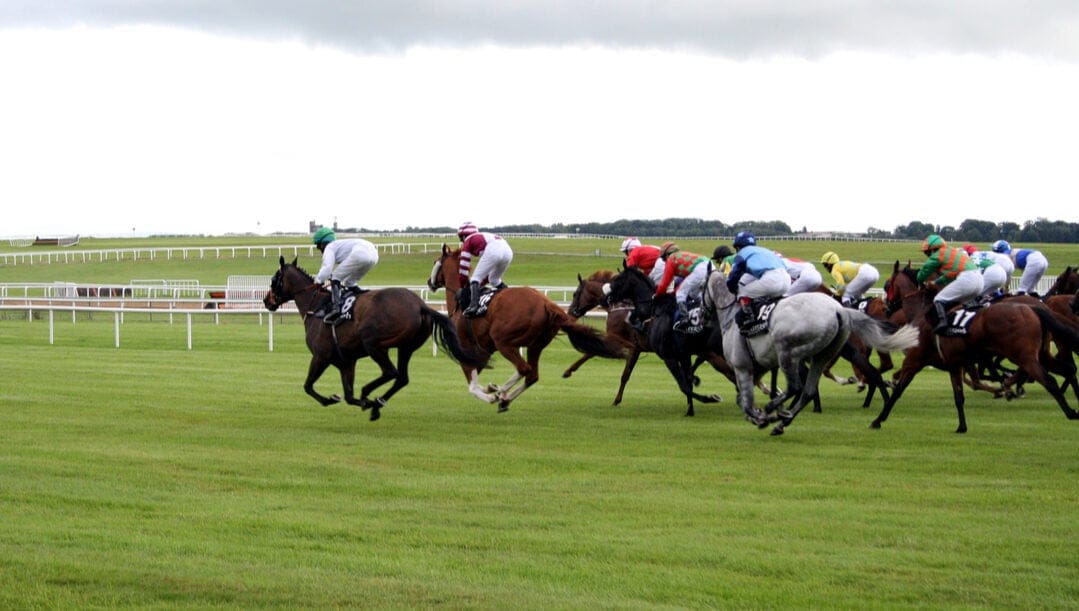 Racehorses running around a track with white railings in the background.