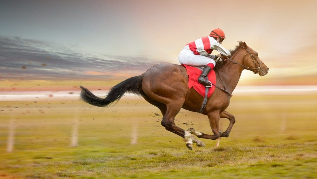 A jockey and horse blaze down the track.