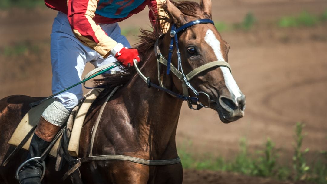 Close up of a racing horse running with a jockey in the saddle.