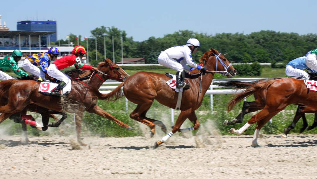 A group of racehorses blaze down a dirt track.