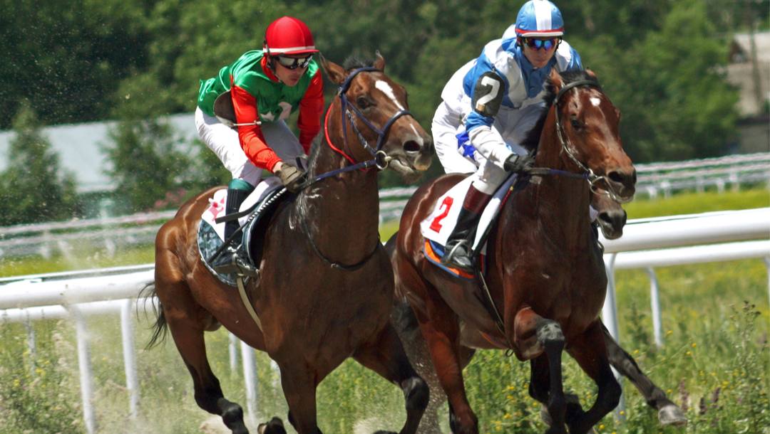 Two jockeys racing their horses on a racetrack.