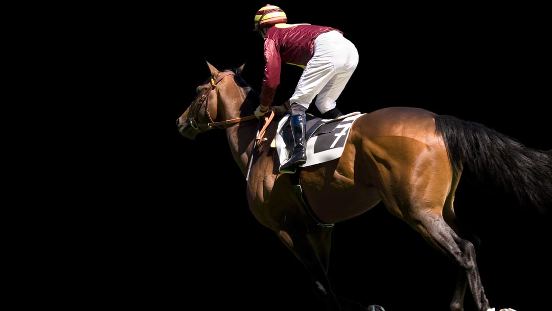 A jockey and a racehorse with the number 7 on a black background.