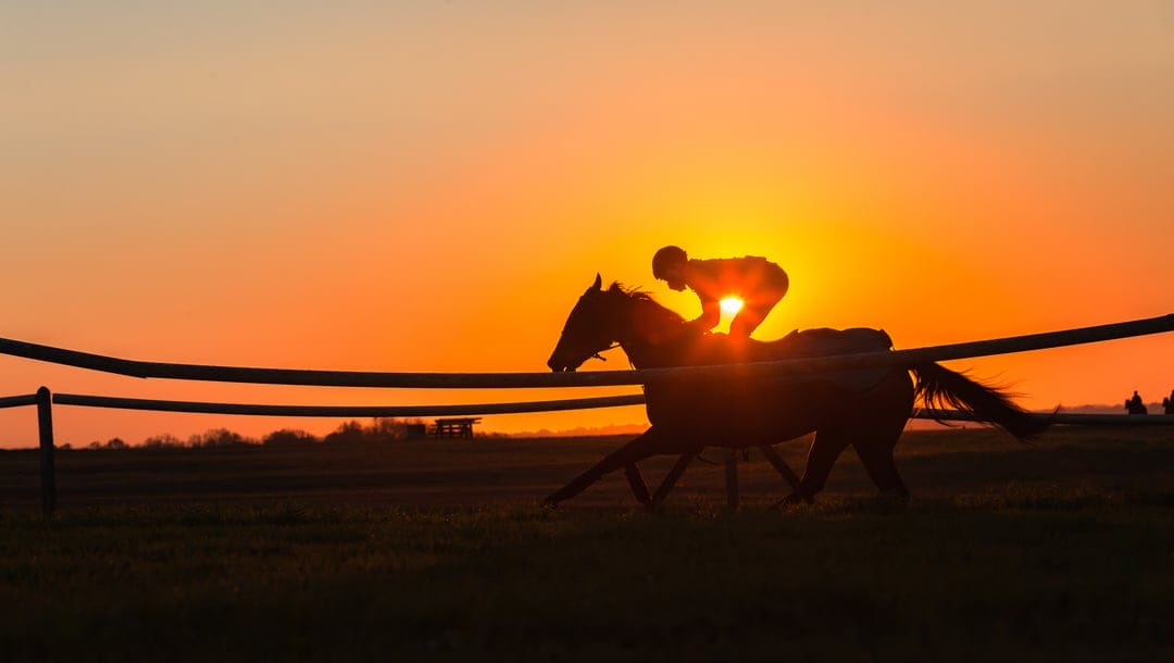 A jockey rides a horse at sunset.