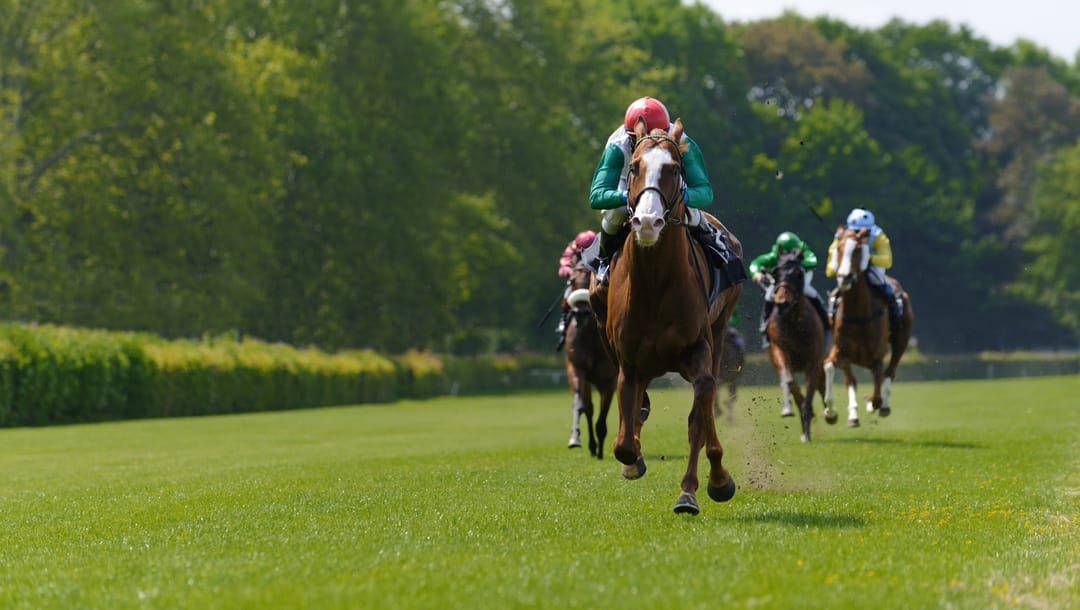 A horse running at the front of a group of racehorses on a grass track.