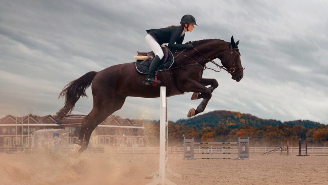 A rider and her horse make a jump during a show-jumping competition.