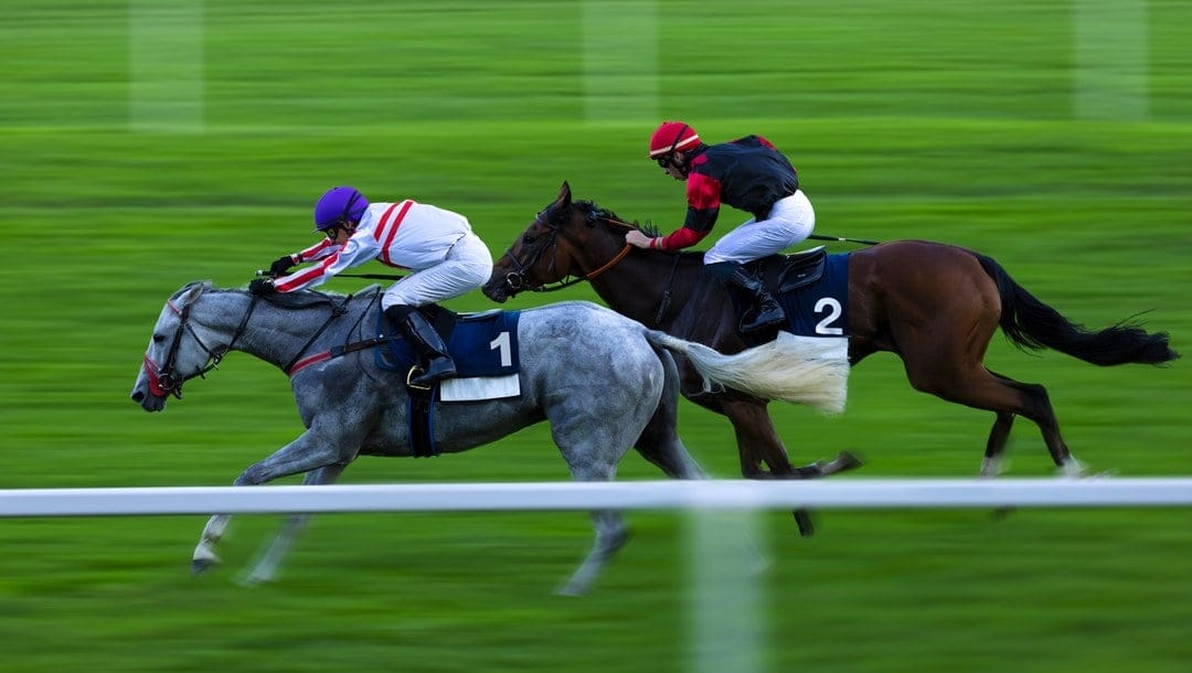 Two horses and their jockeys race towards the finish line.
