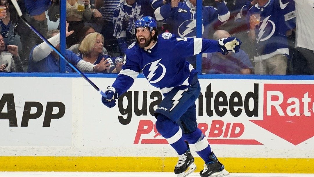 Tampa Bay Lightning left wing Pat Maroon (14) celebrates his goal against the Florida Panthers during the third period in Game 4 of an NHL hockey second-round playoff series Monday, May 23, 2022, in Tampa, Fla.