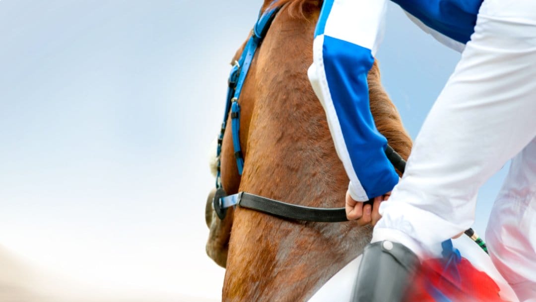 A jockey on a racehorse.