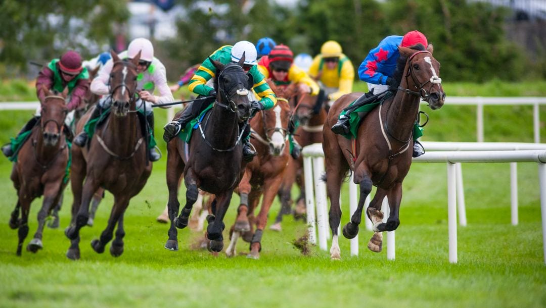 A group of horses and their jockeys come around the bend on a turf track.