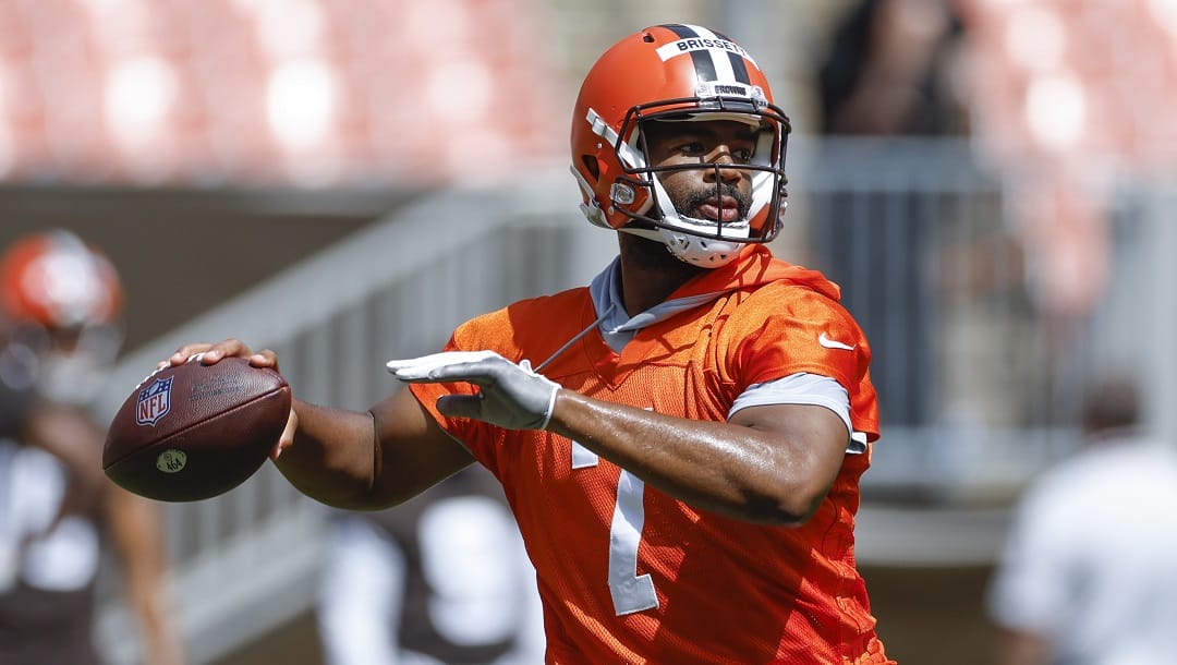 The Browns are +300 to win the AFC North, according to the NFL odds market at BetMGM.