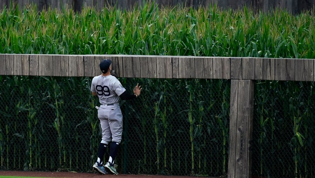 New York Yankees right fielder Aaron Judge watches a Chicago White Sox Seby Zavala home run fly into the outfield corn in the fourth inning during a baseball game, Thursday, Aug. 12, 2021 in Dyersville, Iowa. The Yankees and White Sox are playing at a temporary stadium in the middle of a cornfield at the Field of Dreams movie site, the first Major League Baseball game held in Iowa.