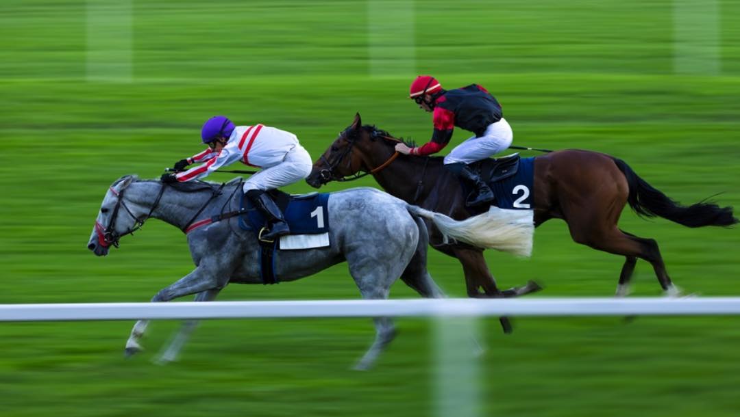 Two horses with mounted jockeys racing on a turf track.