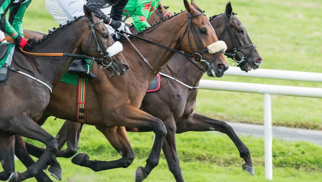 Three horses mounted by jockeys race side-by-side on a turf track.