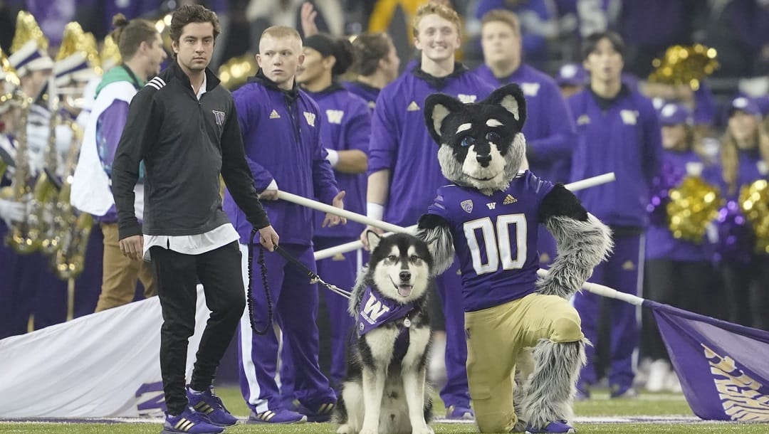 Washington is a big favorite in the college football betting odds market after a big win over Michigan State.