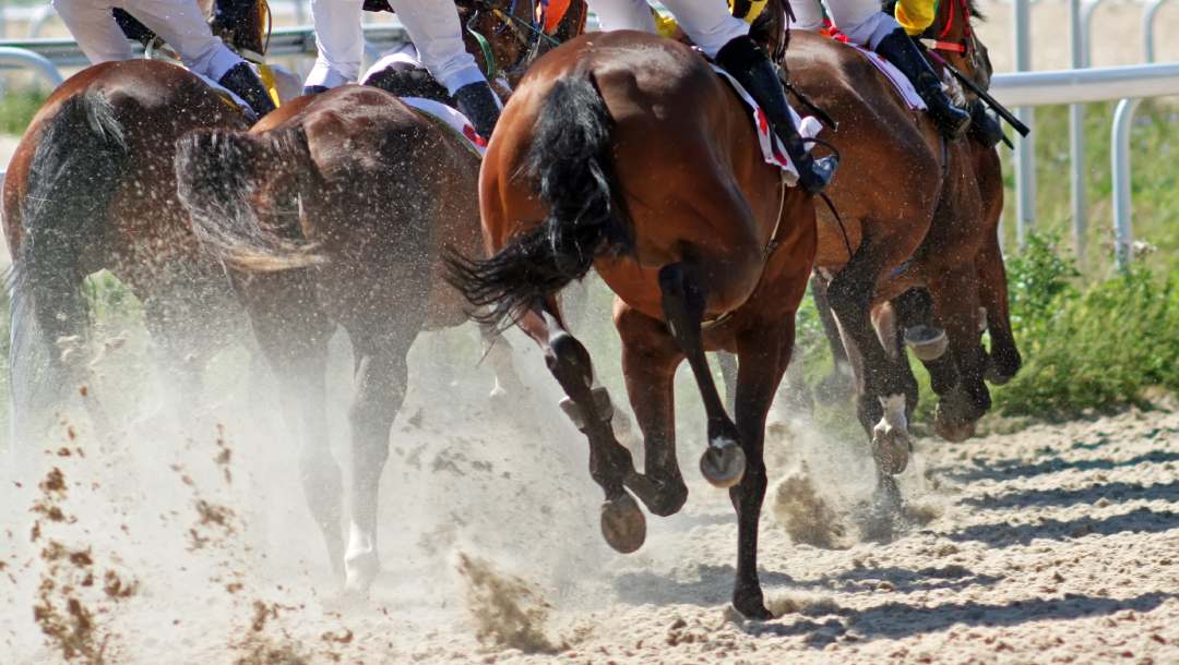 Horses mounted by jockeys racing on a dirt track.