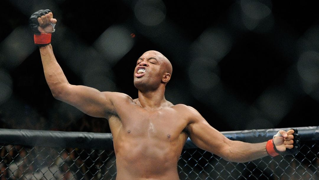 Anderson Silva celebrates after the referee stop the fight in the second round during his UFC 148 middleweight championship fight.