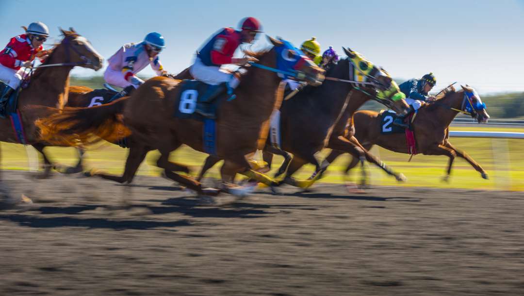 Horses racing on a dirt track