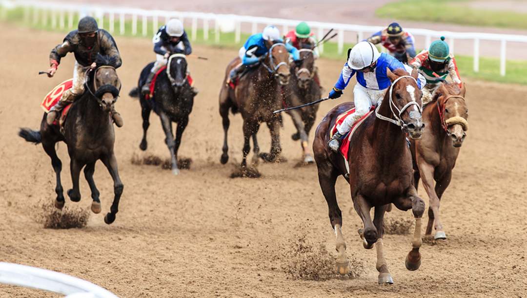 Horses and jockeys in a race 