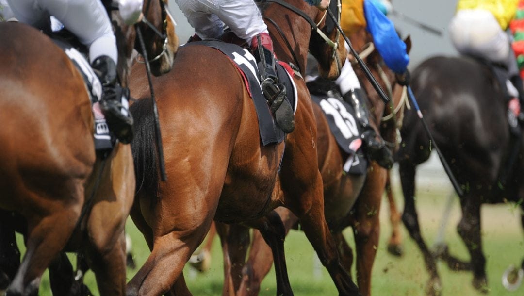 Horses racing on a racecourse.