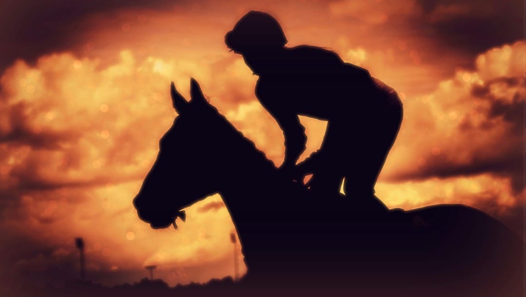 A blurry silhouette of a jockey and racehorse in the sunset.