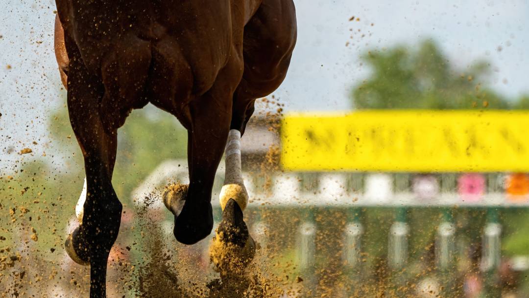 A galloping racehorse kicks up dirt on a track.