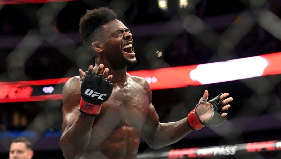 Aljamain Sterling celebrates after defeating Cody Stamann in their bantamweight mixed martial arts bout at UFC 228.