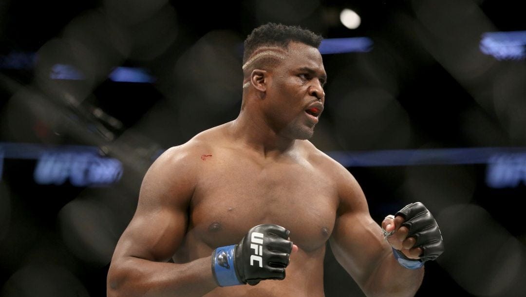 FILE - Francis Ngannou is shown during a heavyweight championship mixed martial arts bout against Stipe Miocic at UFC 220.