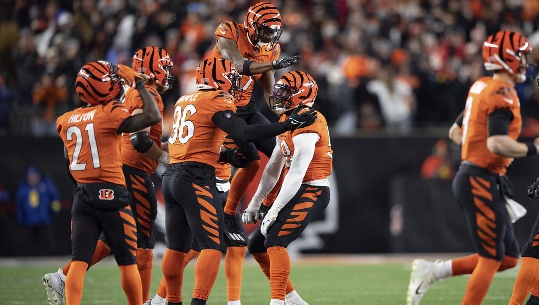 NFL betting odds: the Bengals host the Browns looking for revenge in Week 14.