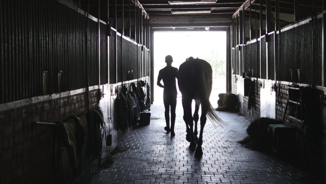 A person leading a horse through the stables.