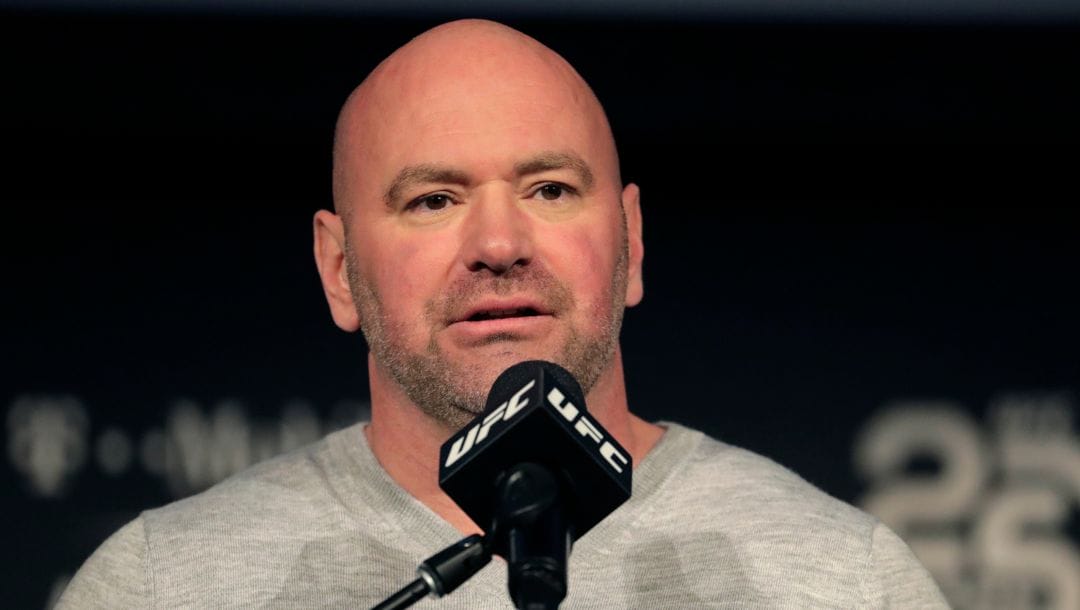 FILE - In this Nov. 2, 2018, file photo, UFC president Dana White speaks at a press conference in New York.
