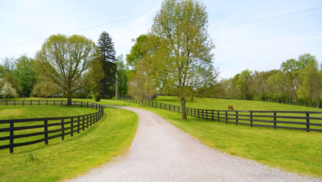 A road up to a stud farm with pasture, fences and a horse on the side.