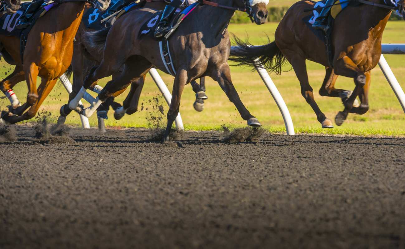 Horses racing on a dirt track.