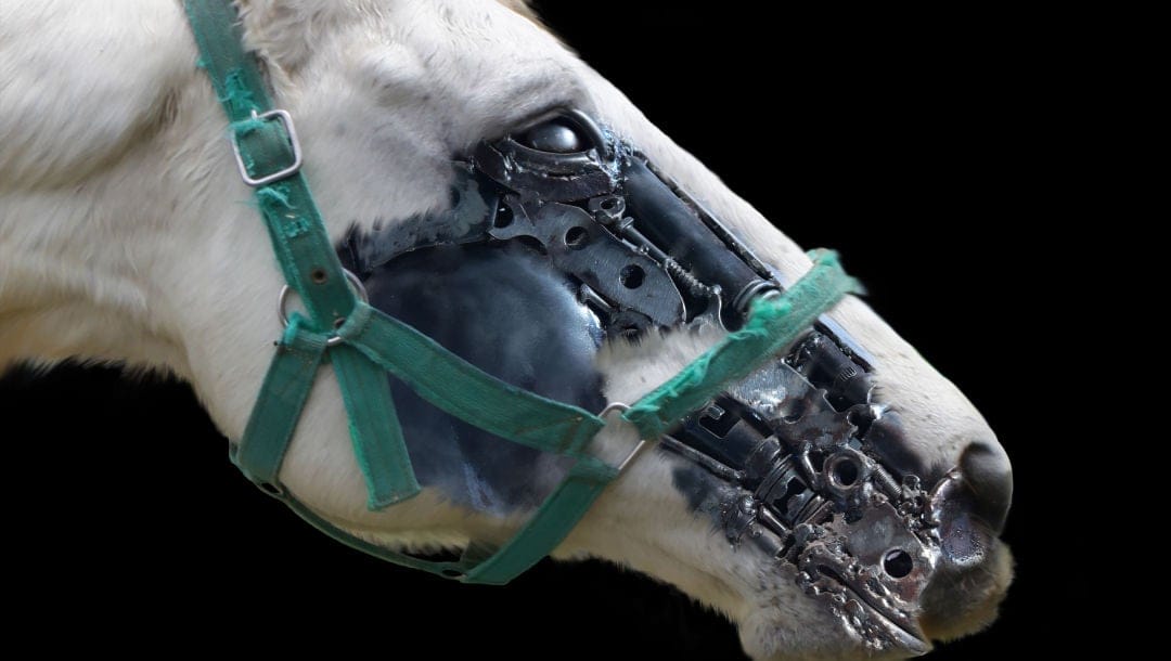 A robotic horse head.