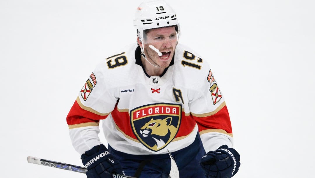 Florida Panthers left wing Matthew Tkachuk (19) continues to celebrate his goal as he skates towards the bench during the third period of an NHL hockey game against the Washington Capitals, Saturday, April 8, 2023, in Washington. The Panthers won 4-2.