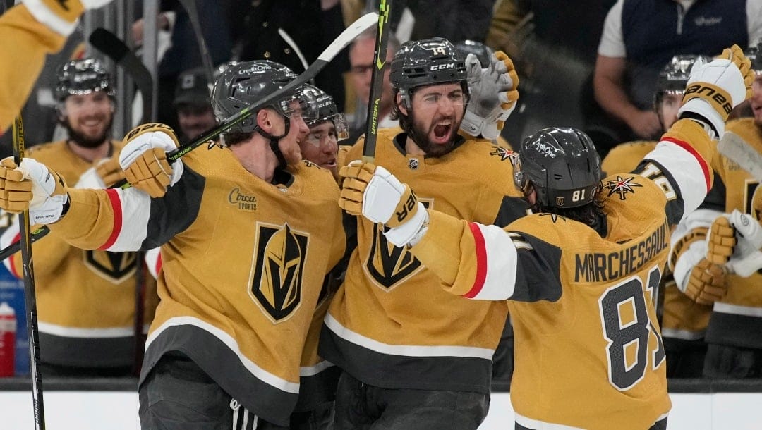 Vegas Golden Knights defenseman Nicolas Hague (14) celebrates after scoring against the Edmonton Oilers during the second period of Game 5 of an NHL hockey Stanley Cup second-round playoff series Friday, May 12, 2023, in Las Vegas. (AP Photo/John Locher)