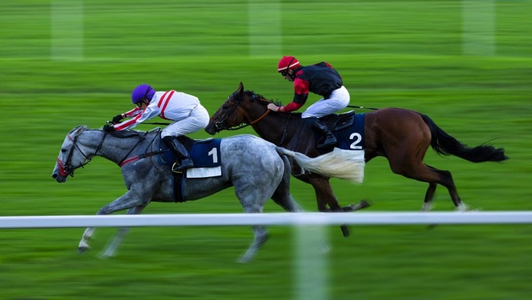 two jockeys racing on their horses on a green grass horse racing track