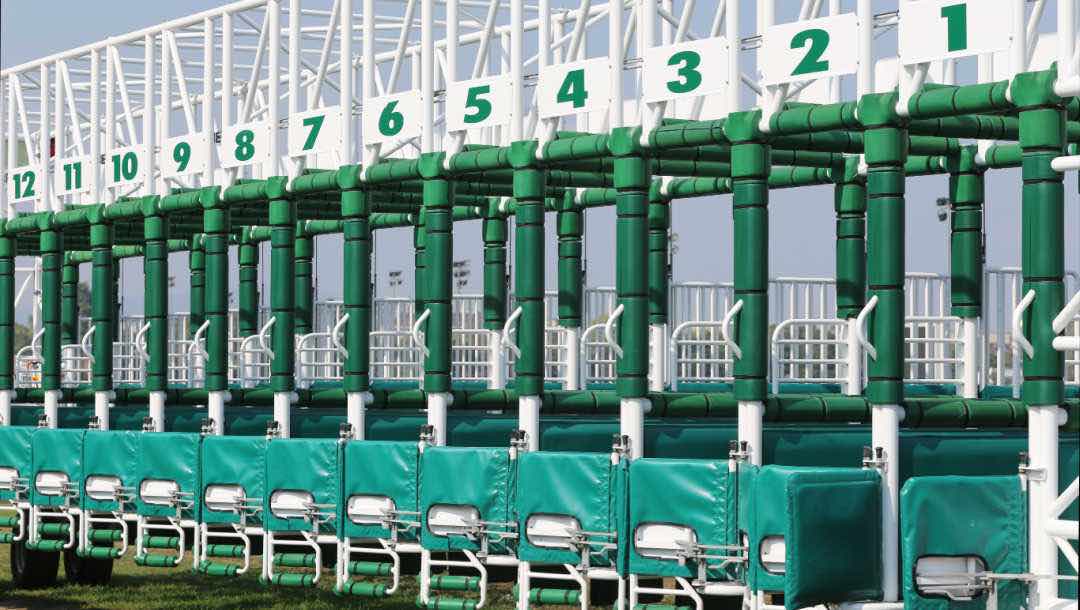 Empty start gates at the beginning of a race track.