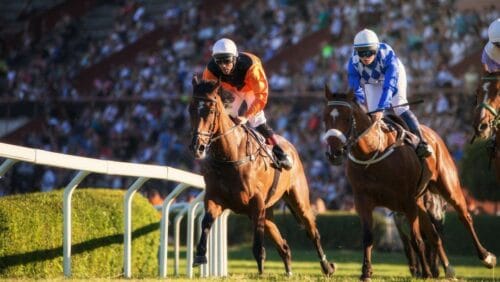 Front view of a large horse racing event.