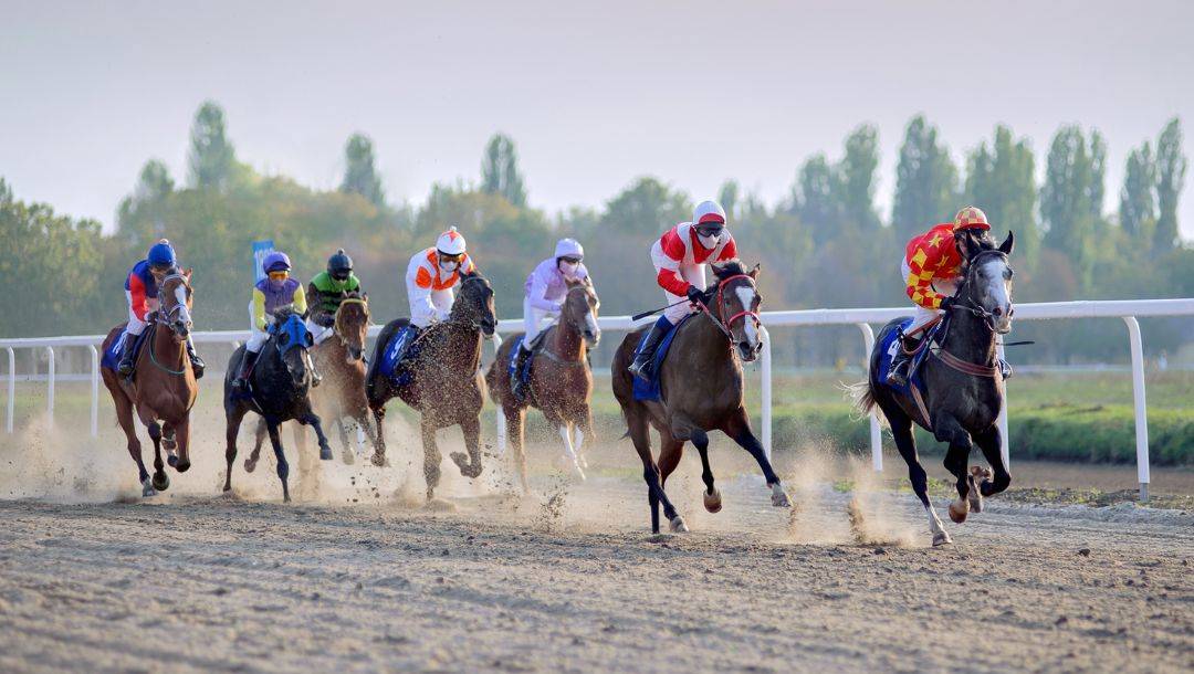 jockeys riding on their horses, racing on a sand track