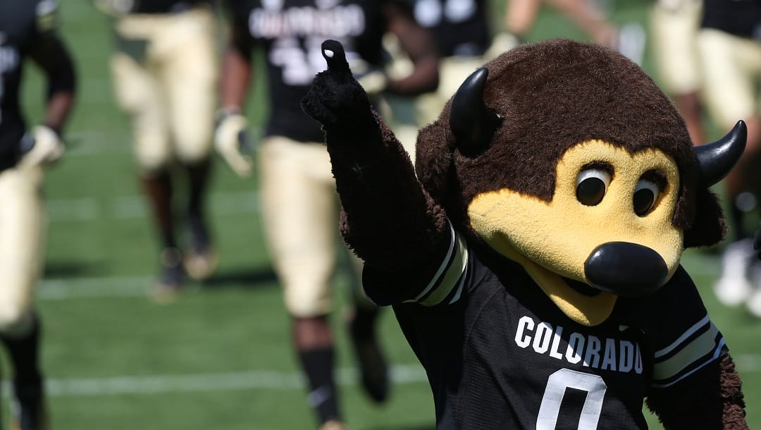 Colorado mascot Chip leads players on to field to face Hawaii in the third quarter of Colorado's 21-12 victory in an NCAA college football game in Boulder, Colo., on Saturday, Sept. 20, 2014.