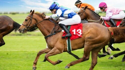 jockeys racing on their racehorses on a grass track