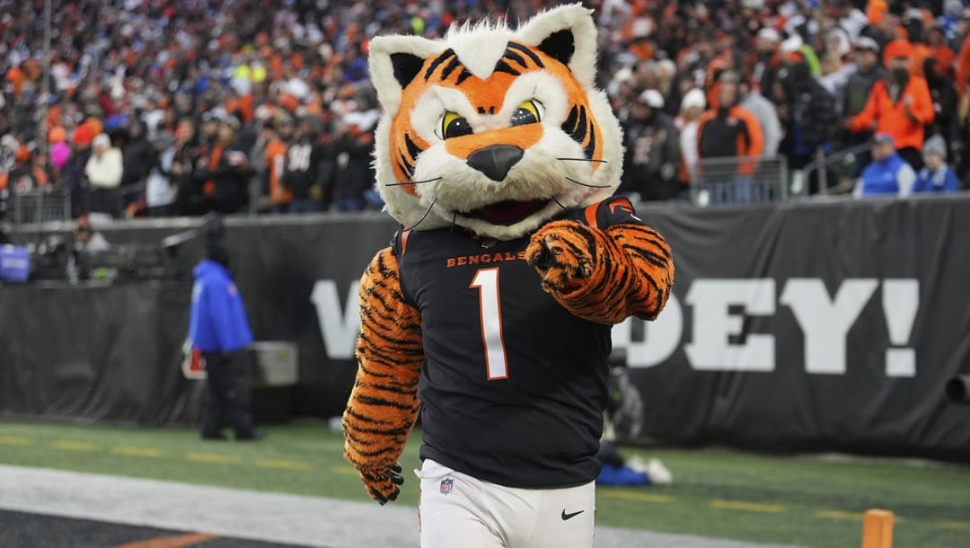 The Cincinnati Bengals mascot walks the sidelines during an NFL football game against the Indianapolis Colts, Sunday, Dec. 10, 2023, in Cincinnati, OH.