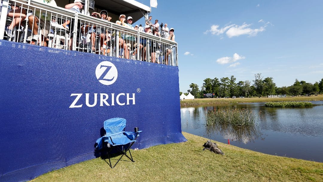 An alligator is seen during the final round of the PGA Zurich Classic golf tournament's two-man team format at TPC Louisiana in Avondale, La., Sunday, April 29, 2018.