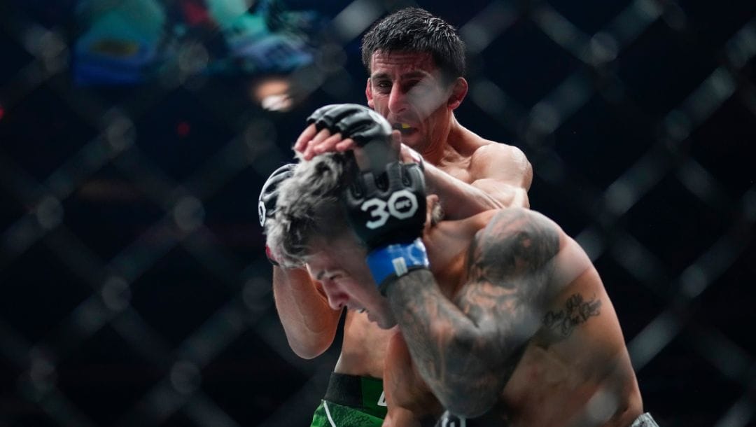 Australia's Steve Erceg, top, punches Brazil's Alessandro Costa during the third round of a flyweight bout at the UFC 295.