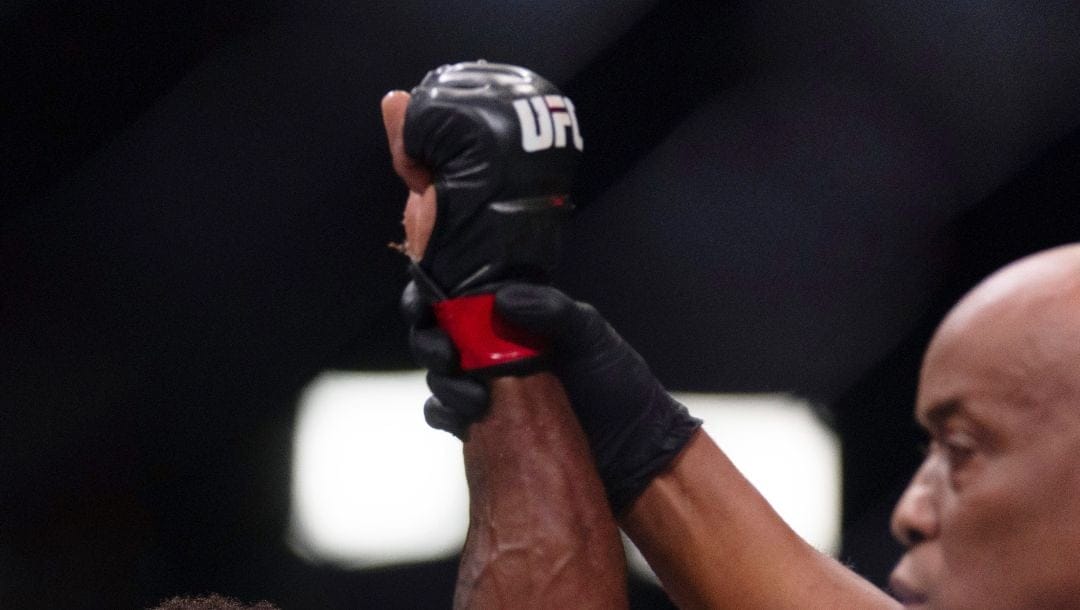 Lerone Murphy, left, celebrates after defeating Dan Ige in a featherweight mixed martial arts bout at UFC Fight Night.