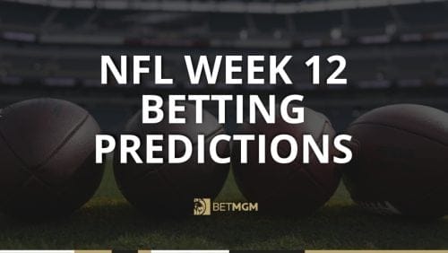 Get my NFL expert picks for Week 12 of the 2025 NFL season, including an against the spread prediction for Packers vs Vikings.